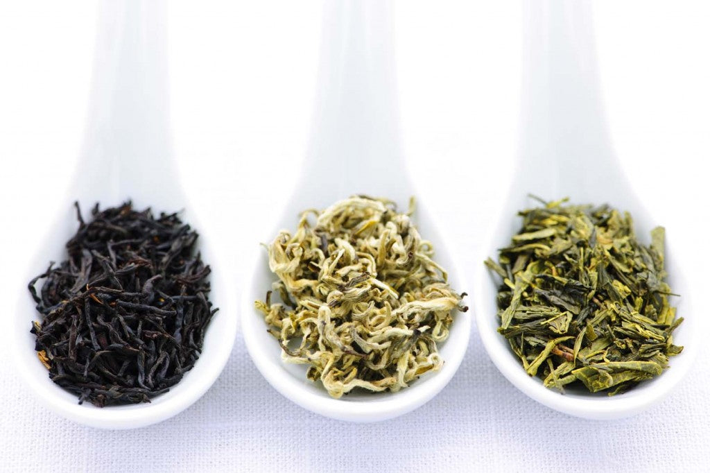 Green Vs White - Which Tea is for you?