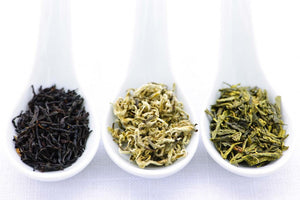 Green Vs White - Which Tea is for you?